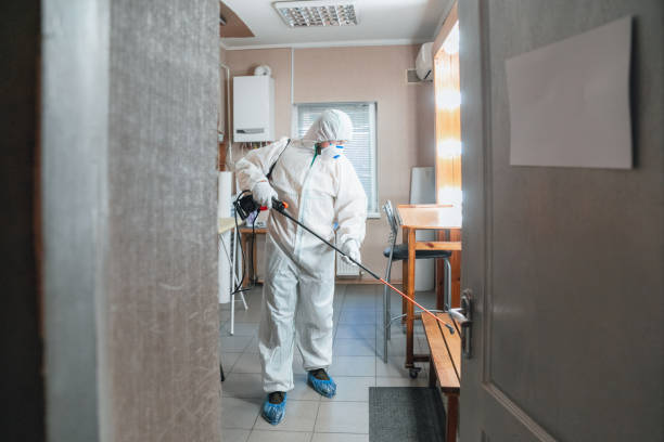 Best Airborne Mold Testing  in Barbourmeade, KY
