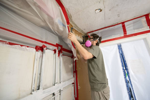 Best Industrial Mold Remediation  in Barbourmeade, KY