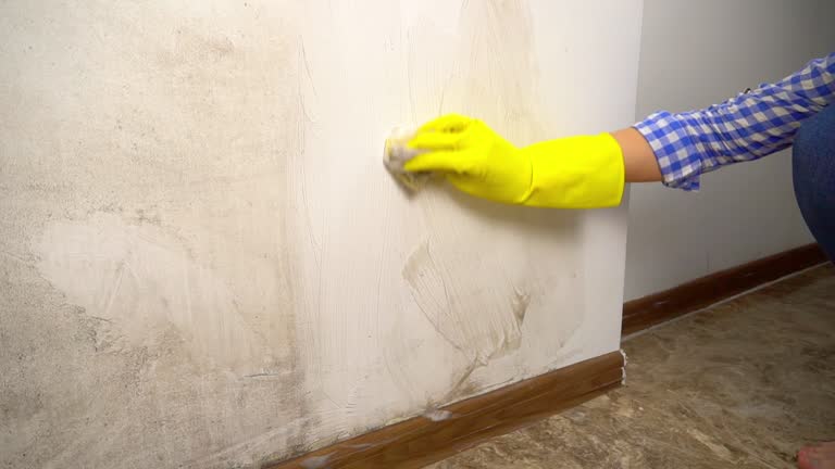 Best Post-Construction Mold Inspection  in Barbourmeade, KY