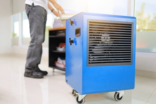 Best Emergency Mold Remediation  in Barbourmeade, KY