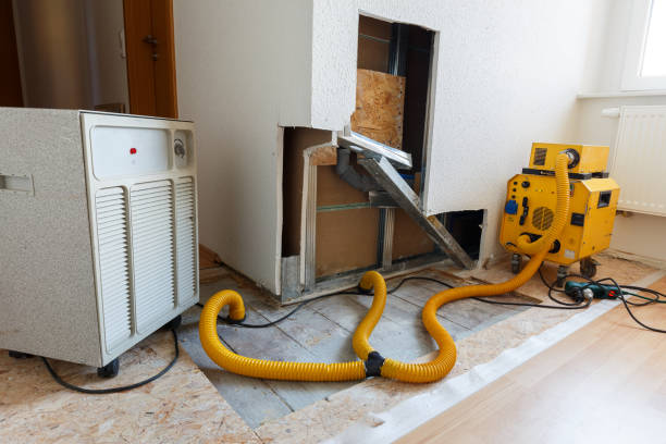 Barbourmeade, KY Mold Removal Company