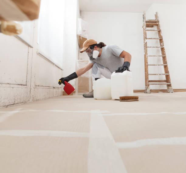 Best Crawl Space Mold Remediation  in Barbourmeade, KY